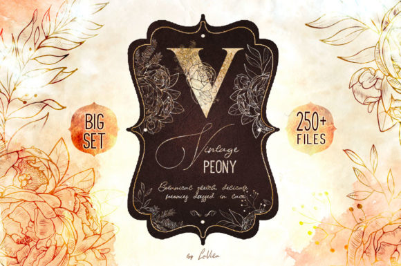 Botanical Sketch Peonies: A Vintage and Versatile Collection for Creative Projects