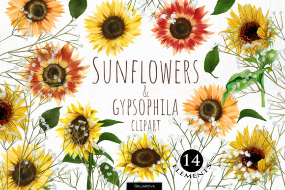 Enhance Your Designs with Sunflower Clipart: A Versatile and High-Quality Resource