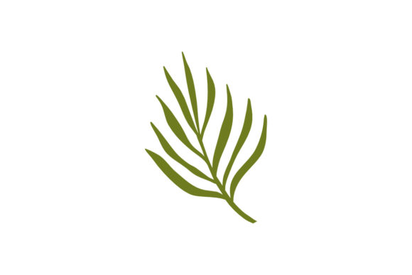 Exploring the Versatility of Organic Tropical Leaves Elements in Modern Design