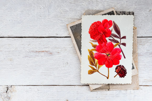 Red Peonies Flower Clip Art: A Timeless Design Asset