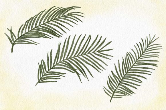 Watercolor Tropic Palm Leaf Set for Creative Projects