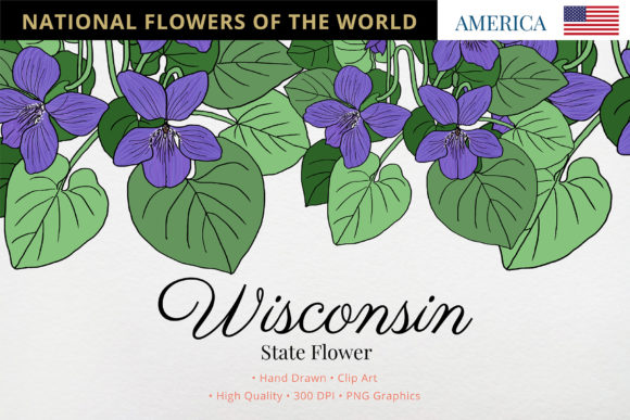 Wisconsin State Flower: The Wood Violet and Its Impact on Creative Projects